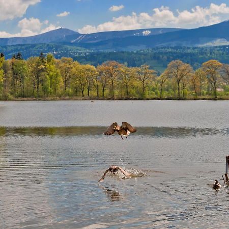 Pokoje Bukowiec Folwark I Park Экстерьер фото